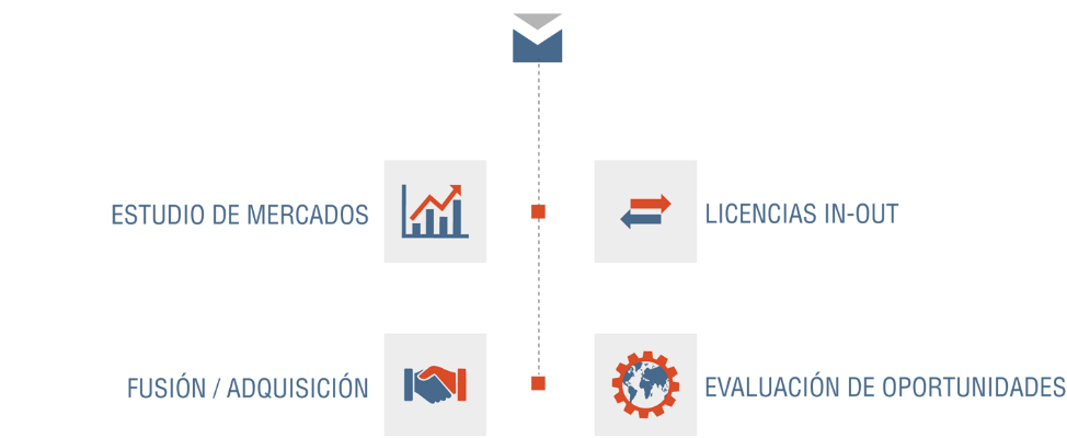 consultoria servicios